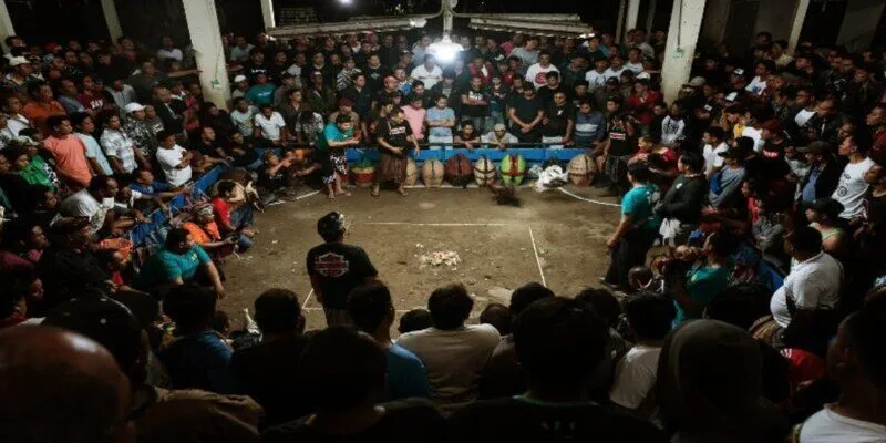 Những ấn tượng từ Trận đá gà 24 tỷ